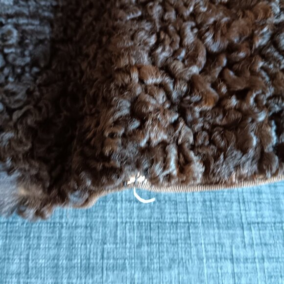 Vintage Dark Brown Persian Lamb Stroller Coat Jacket Fur Collar Faux Pockets 60s - Picture 13 of 16